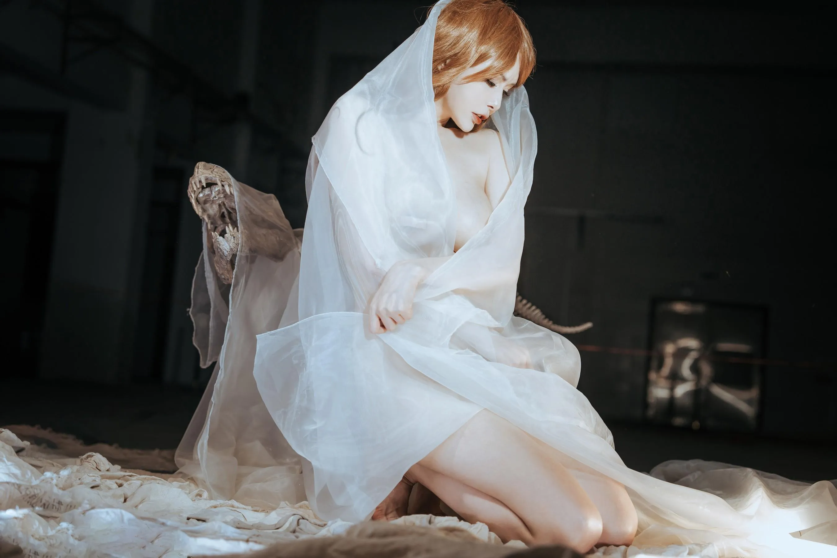 秋和柯基 – NO.102 纱 [66P]插图5